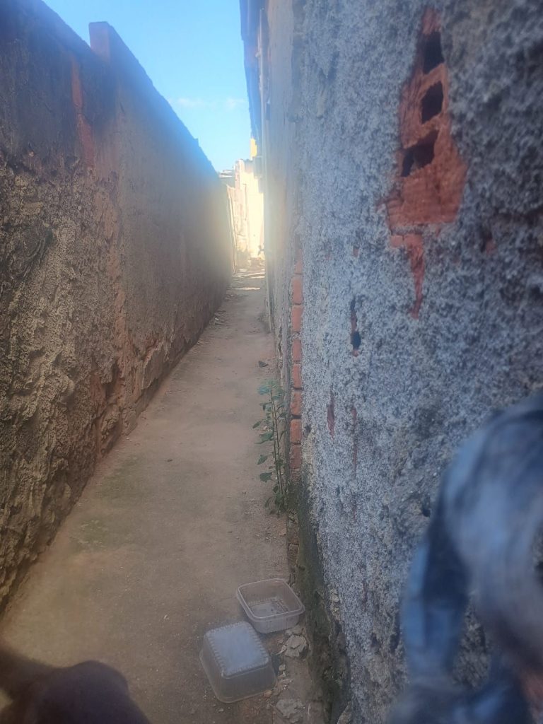 Cachorro é vítima de maus-tratos no bairro Palmeirinha, em Belford Roxo 2 img 20250514 wa00802390208058462458407