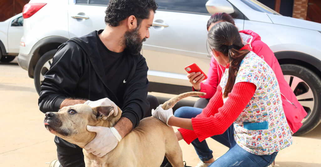 1-CACHORRO-MALTRATAFO-1024x535.jpg