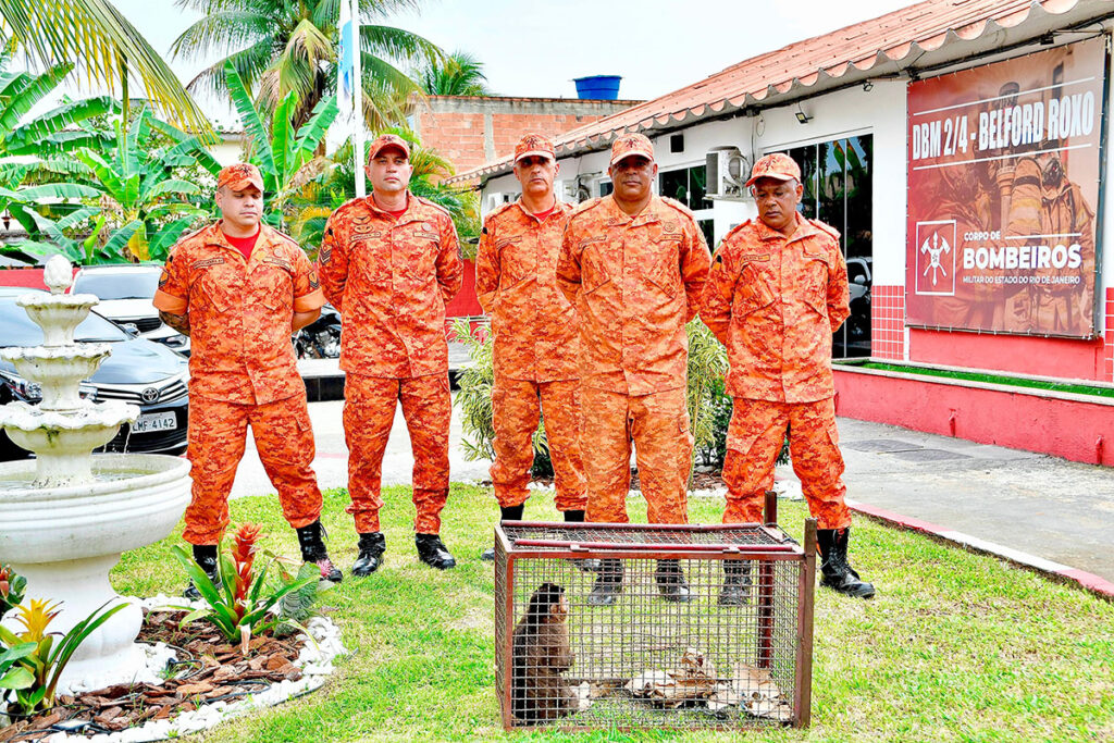 2-MCACO-BOMBEIROS-1024x683.jpg