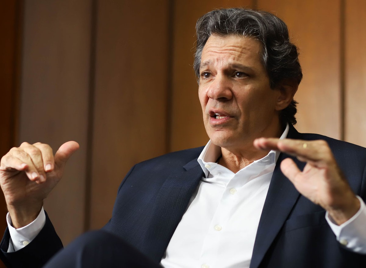 foto22bra-101-haddad-a4.jpg