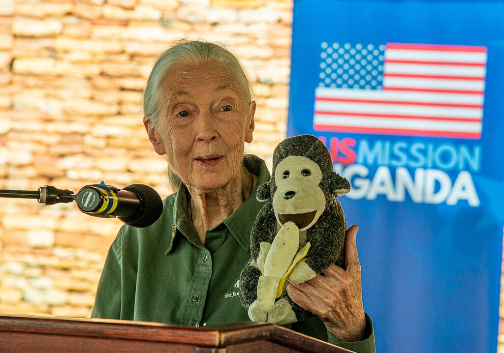 Jane-Goodall.jpg